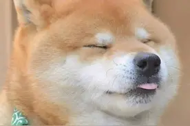 故事‖杯中倒满无情酒图片