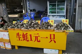 广州“最抵吃”海鲜市场，随处见1元1只生蚝，新鲜肥美，地铁直达图片