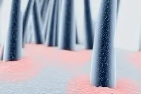 为了10万根头发的健康，「头皮」到底有多难？图片