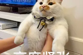 雅思考试延后撞上换题季，这样的组合你慌不慌图片