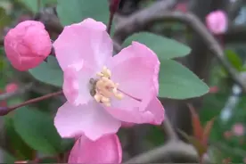 每日20个英语单词图片