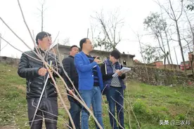 在农村，村里有事，挑头的永远是那几个人，其余农民沉默，为何？图片