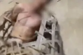 因情感纠纷，广东茂名一男子被“浸猪笼”图片