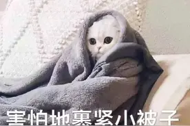 超过一半孩子不在外面大便？这些原因娃不说，但家长要知道图片