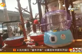 “鸟笼子”烤火安全吗？图片