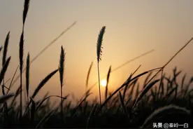 罗隐：十几次落榜的文艺青年，终于成为唐朝第一愤青图片