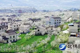 春暖花开 赏花品果正当时——阳春三月雅安踏青攻略图片