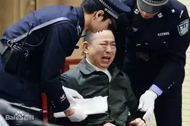 刘汉、刘维等36人特大黑社会性质组织犯罪案审判工作纪实图片