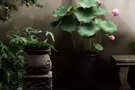 老石器，老院子，小院一方，安度余生图片