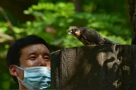 玉渊潭公园野生动物影展开展，照片背后还有一个暖心故事图片