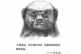 知道为什么在动物园里看不到蜜獾吗？图片