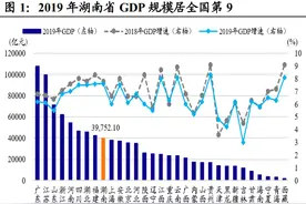 虽然湖南GDP排名第9，但是债务率远高于全国平均水平图片
