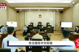 无证非法捕捞导致中华鲟死亡，南通一男子被判处有期徒刑一年四个月！图片