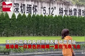 温暖丨以爱之名，化身为蝶，共忆往昔，汶川地震幸存女孩重游遗址被蝴蝶围绕图片