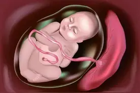 生完孩子后，胎盘是怎么处理的？看完涨知识了图片