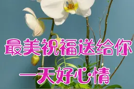 美女表情包：别愧对自己，生命只有这么一次，何必总跟自己过不去图片