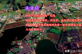 你知道吗？这五个镇是江苏泰州镇域经济中的翘楚！堪称典范图片