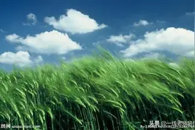 知识点 】部编版语文五年级上册 第五单元图片