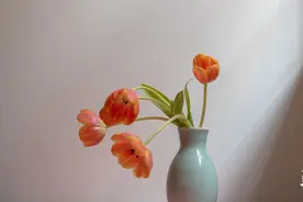 人贪三样，一生白忙图片