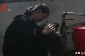 还记得那只“汤姆”熊吗？找不到妈妈跟着人类回了家！爱卖萌，爱撒娇的它在动物园过得怎么样？图片