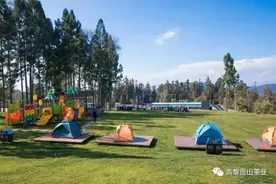 寻味腾冲高黎贡山茶博园 不一样的美食体验图片