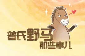 石榴图说｜普氏野马的那些事图片