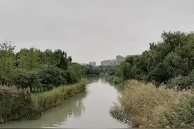 西安城中村风云之九：沙坡村录像厅里离奇出现的红玫瑰图片