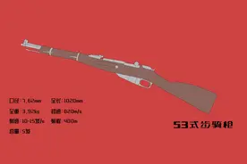 中国军队制式枪支发展速览——漫画讲军史图片