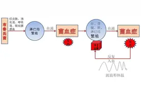 布病——你想知道的都在这里！图片