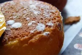 俗话说“病从口入”，发霉的食物到底还能不能吃？该扔就扔图片