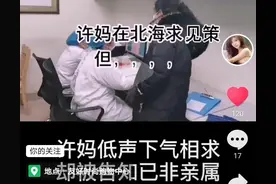 三石的谎话和天上飞的假证，她们有什么共同点？图片