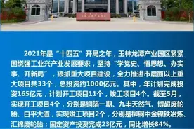 龙港新区玉林龙潭产业园区2021年重大项目建设情况简报图片