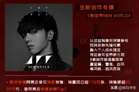 华晨宇2020年度数据大汇总：有效率有质量，有公益有态度图片