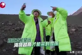 《极限挑战》采摘濒危珍稀植物，别挑战大众底线图片