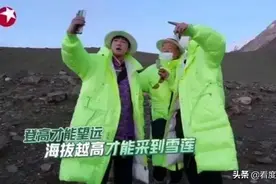 《极限挑战》采摘濒危珍稀植物，别挑战大众底线图片