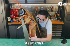 萤火虫：为了寻求配偶，把自己逼到发光？西瓜视频看它的浪漫故事图片