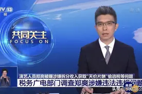 1.6亿片酬仅纳税1013.6万，郑爽涉嫌阴阳合同被查，会坐牢吗？图片