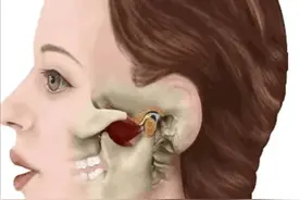 你还在用单侧牙齿吃饭吗？专业牙医从专业角度揭秘单侧咀嚼的危害图片