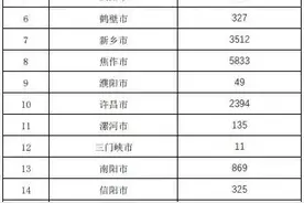 近期向河南捐款的账单来了，这样的明细还不够详细图片