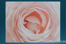 拍花“问题大赏”：普通人拍花最爱犯的9个错误，看看有没有你？图片
