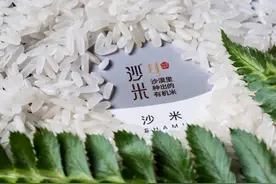 中国小伙在沙漠种下一片沙稻，拿下3亿投资，被称为第二个袁隆平图片