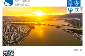 肇庆这所学校，正式揭牌图片