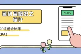 2020注册会计师（CPA）考试全解析（第九期）—— 《审计》概况图片