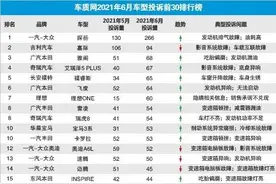 6月汽车投诉量最多的10款车，热销车成重灾区？图片