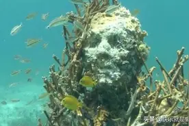 我国东海发现神秘人脸，专家潜心研究3天后大呼：人类要小心了！图片