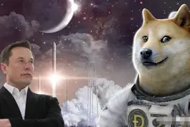 崩盘如期而至，马斯克笑了图片