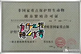 科学对待林蛙养殖问题对社会才是有利图片