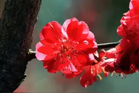 所谓人的面相真的很重要图片
