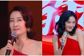 谢娜模仿刘敏涛，论谢娜的模仿能力 只能说开天辟地，鬼斧神工图片