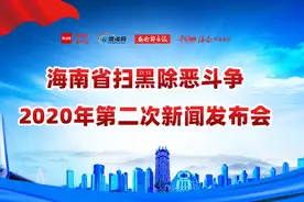 海口“十二哥”等271个涉黑涉恶犯罪团伙覆灭！海南通报扫黑除恶战果图片
